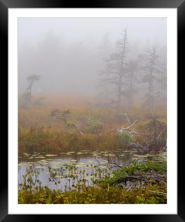 Cabot Trail Fog, Cape Breton, Canada Framed Mounted Print by Mark Llewellyn
