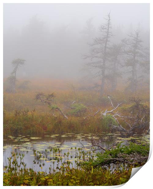 Cabot Trail Fog, Cape Breton, Canada Print by Mark Llewellyn