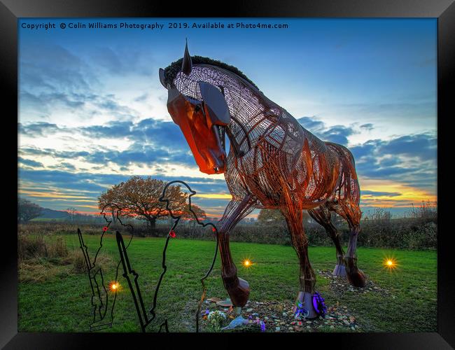 The Featherstone War Horse Framed Print by Colin Williams Photography