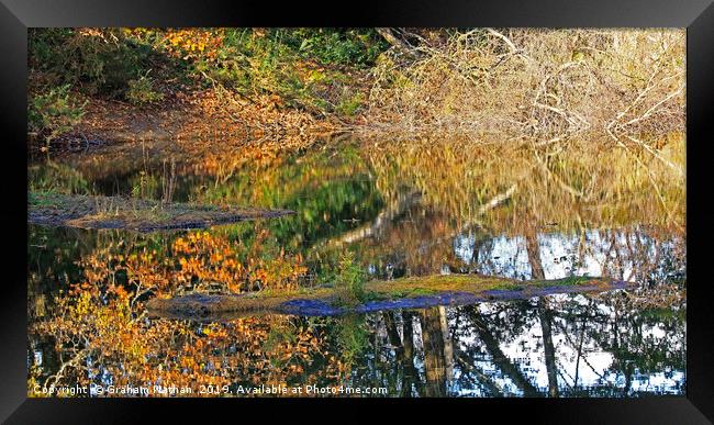 Reflective Pond Framed Print by Graham Nathan