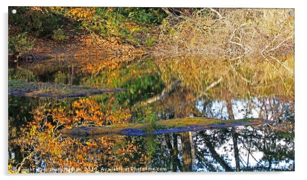 Reflective Pond Acrylic by Graham Nathan