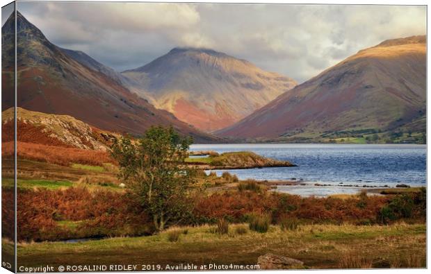 "Late evening light at Wastwater" Canvas Print by ROS RIDLEY