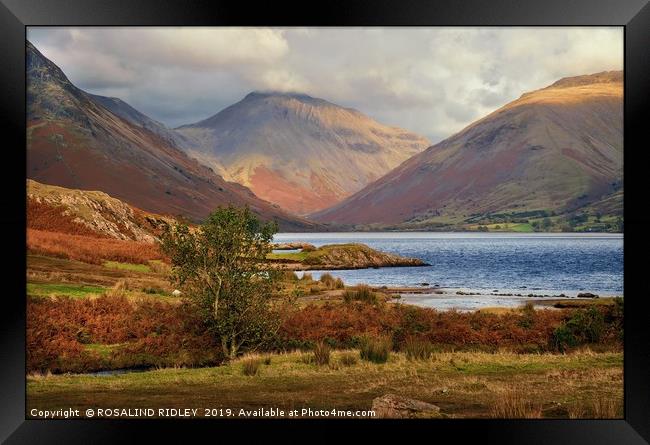 "Late evening light at Wastwater" Framed Print by ROS RIDLEY