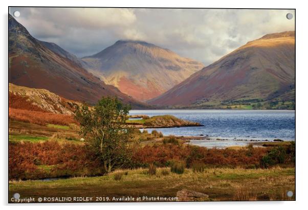 "Late evening light at Wastwater" Acrylic by ROS RIDLEY