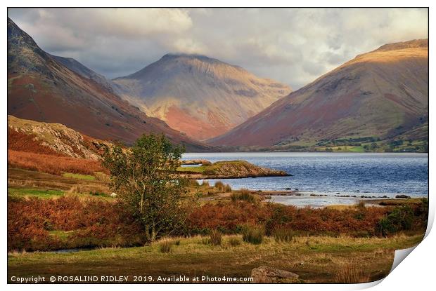 "Late evening light at Wastwater" Print by ROS RIDLEY