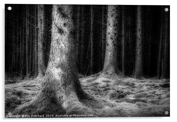 Dark Woods  Acrylic by Ray Pritchard