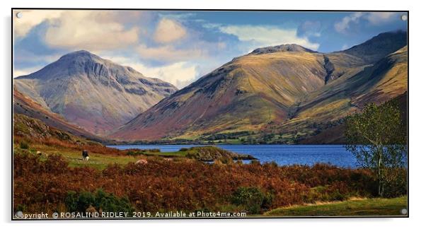 "Mountains at Wastwater" Acrylic by ROS RIDLEY