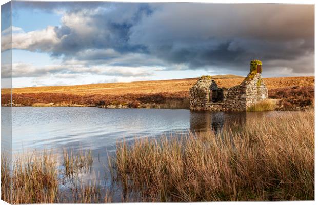 Llyn Conwy Canvas Print by Rory Trappe