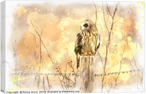 Short Eared Owl Canvas Print by Donna Joyce