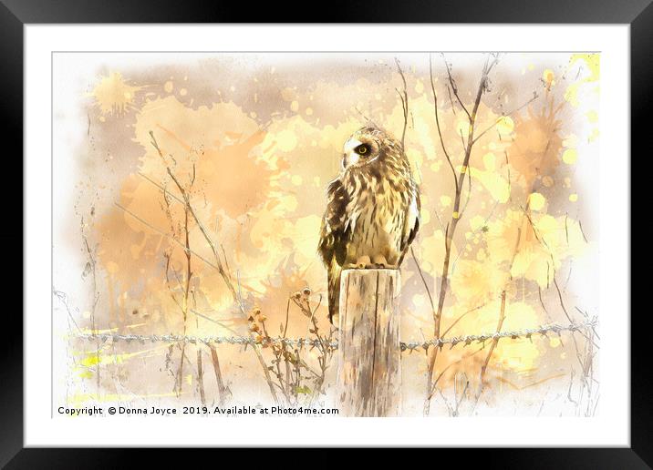 Short Eared Owl Framed Mounted Print by Donna Joyce