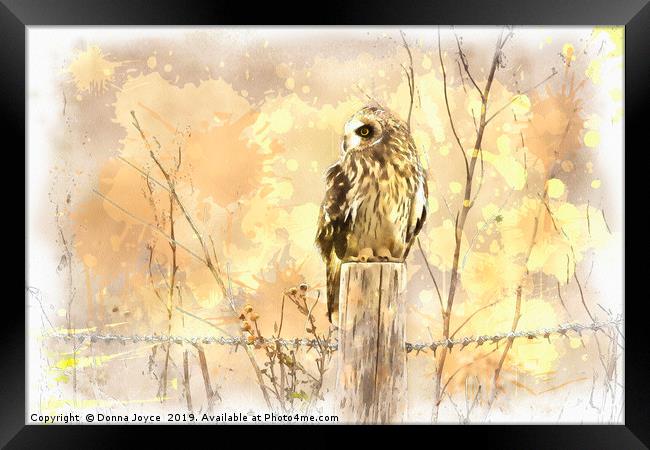Short Eared Owl Framed Print by Donna Joyce
