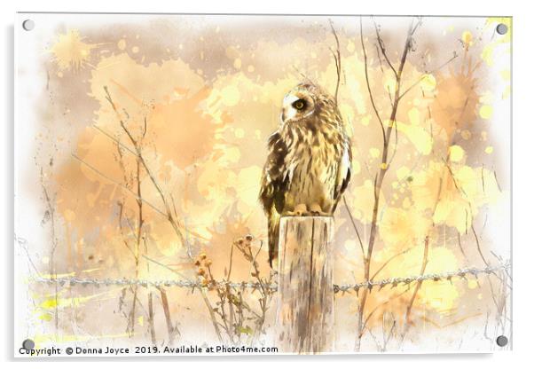 Short Eared Owl Acrylic by Donna Joyce