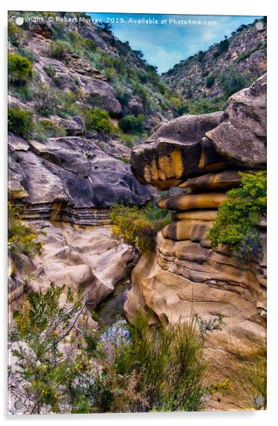 Fossil Gorge, Alfaix, Almeria, Spain. Acrylic by Robert Murray
