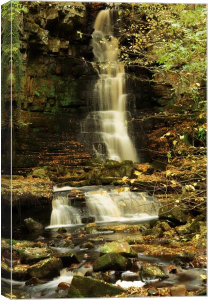 LEAVES AND WATER Canvas Print by andrew saxton
