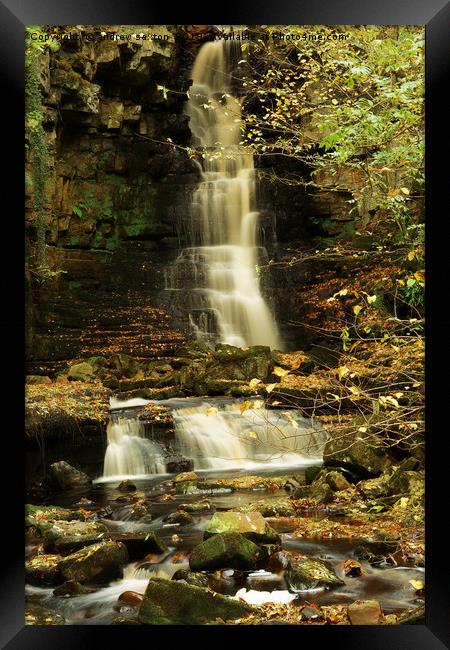 LEAVES AND WATER Framed Print by andrew saxton