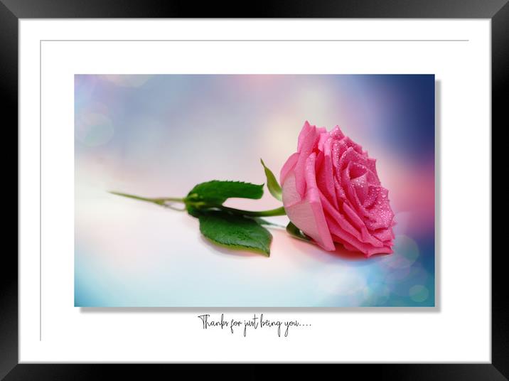 Thanks for just being you.... Framed Mounted Print by JC studios LRPS ARPS