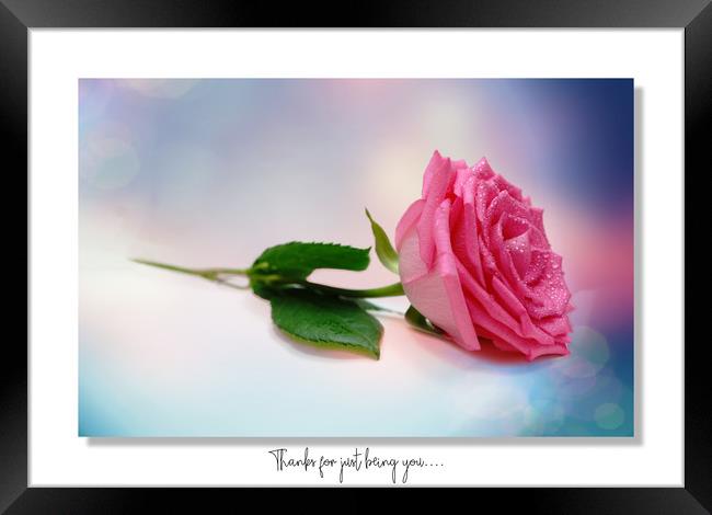 Thanks for just being you.... Framed Print by JC studios LRPS ARPS