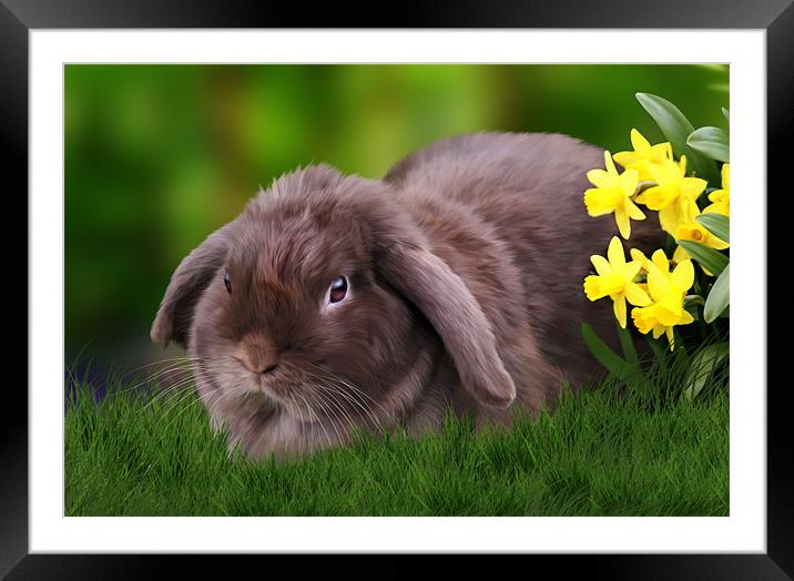 Easter Bunny ~ Paintover ~ Framed Mounted Print by Sandi-Cockayne ADPS