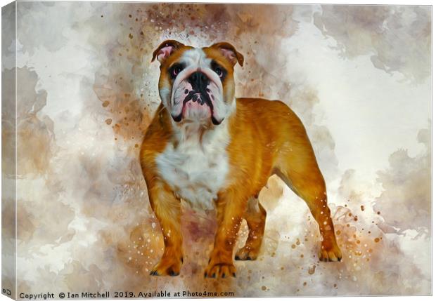 Bulldog Art Canvas Print by Ian Mitchell
