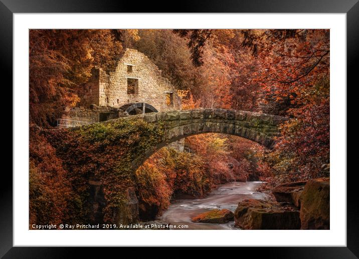 Autumn at Jesmond Dene Framed Mounted Print by Ray Pritchard