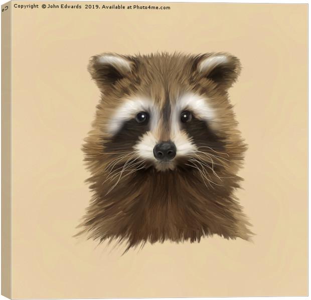 Raccoon Canvas Print by John Edwards