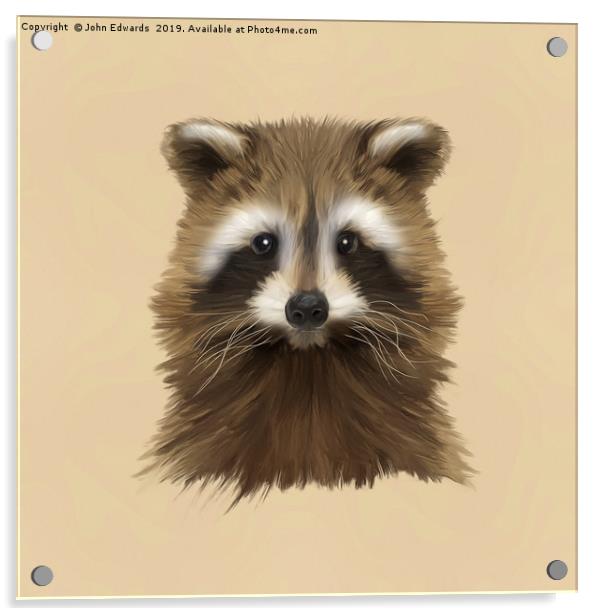 Raccoon Acrylic by John Edwards