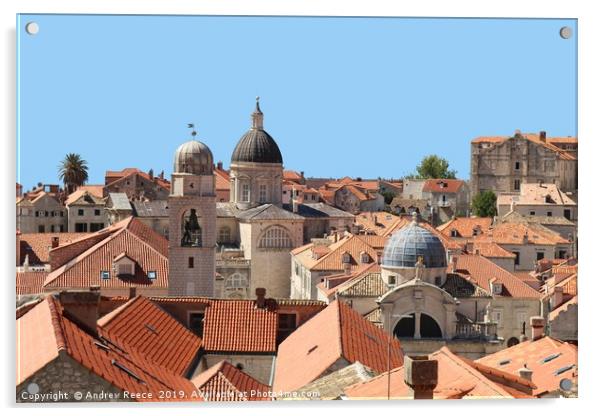 Rooftops of Dubrobnik Old Town showing churches an Acrylic by Andrew Reece