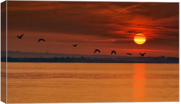 Geese flying at sunrise Canvas Print by Jan Sutton