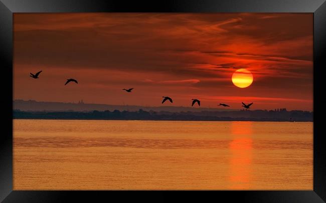 Geese flying at sunrise Framed Print by Jan Sutton