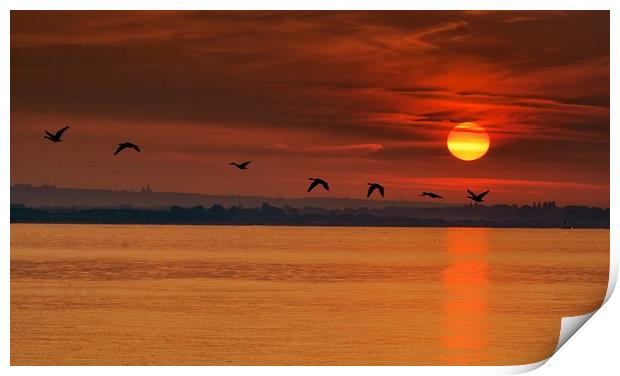 Geese flying at sunrise Print by Jan Sutton