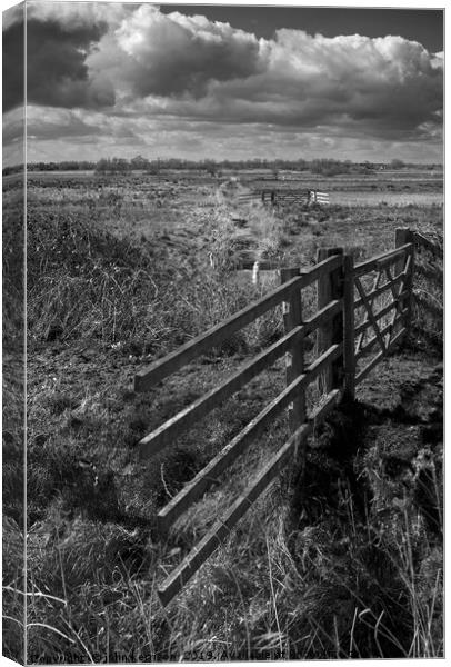 Gate on Yare Valley Marshes Canvas Print by john kerrison