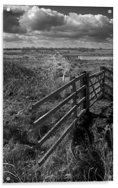Gate on Yare Valley Marshes Acrylic by john kerrison
