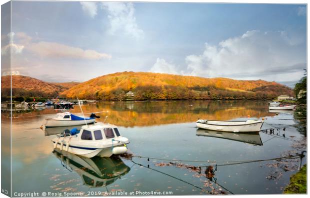 Early morning autumn view on the River Looe  Canvas Print by Rosie Spooner