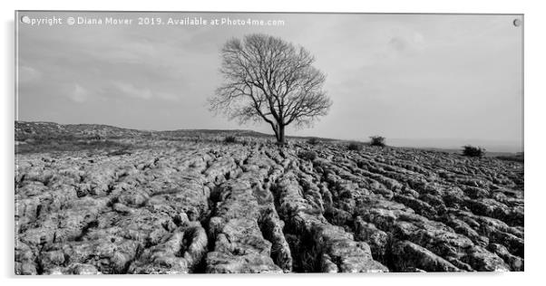 The Lone Tree Malham Monochrome Acrylic by Diana Mower