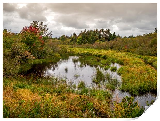 Port Elgin, New Brunswick, Canada Print by Mark Llewellyn