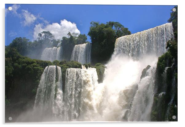 Iguzau Falls Acrylic by David Gardener