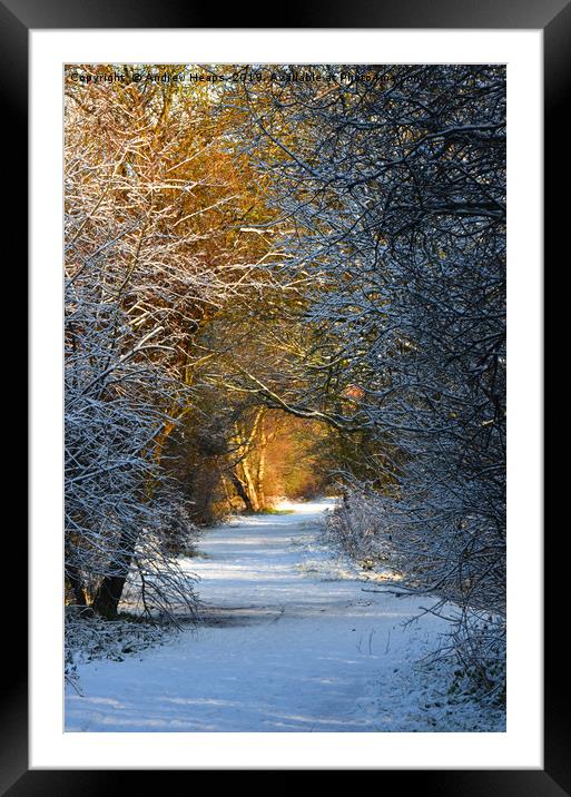 Walking down local disused railway line track  Framed Mounted Print by Andrew Heaps