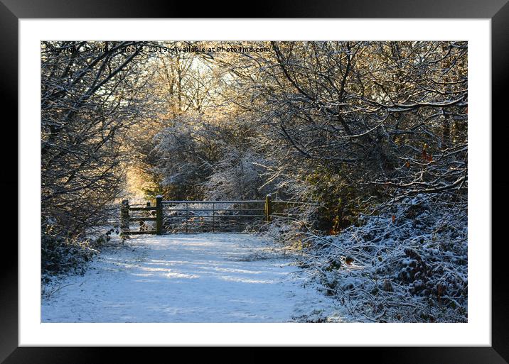 Snowy winter scene  Framed Mounted Print by Andrew Heaps