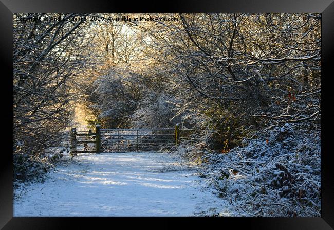 Snowy winter scene  Framed Print by Andrew Heaps