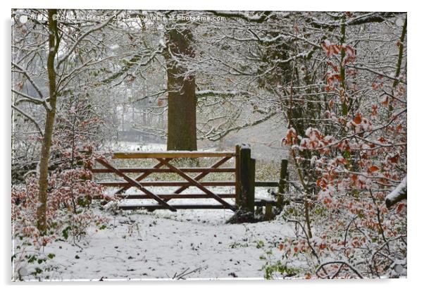 Winterly scene with snowy gate and style. Acrylic by Andrew Heaps