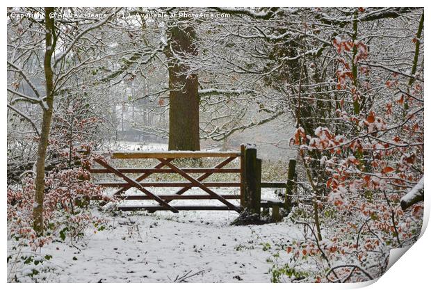 Winterly scene with snowy gate and style. Print by Andrew Heaps