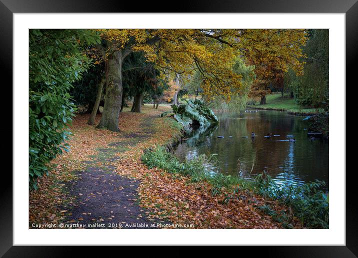 Autumn Colour Walk Framed Mounted Print by matthew  mallett