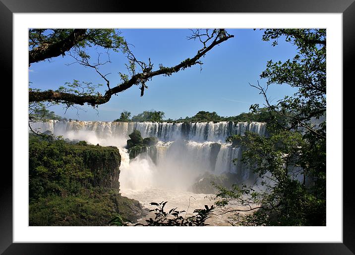 Iguazu Falls Framed Mounted Print by David Gardener
