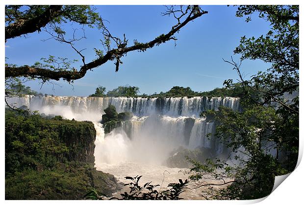 Iguazu Falls Print by David Gardener
