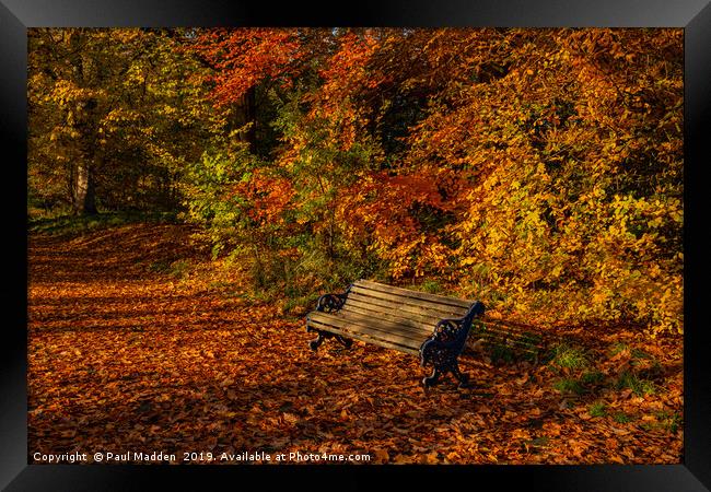 Park bench in Autumn Framed Print by Paul Madden