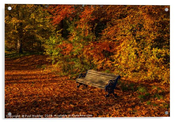 Park bench in Autumn Acrylic by Paul Madden