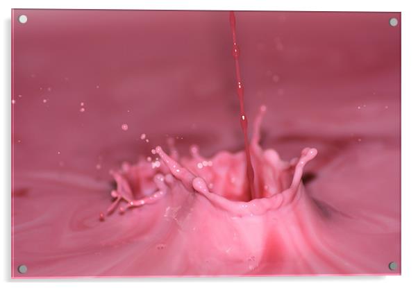 Milk Splash 1 Acrylic by Lucy Antony