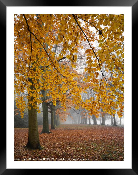 Autumn Colours In The Mist Framed Mounted Print by mark Smith