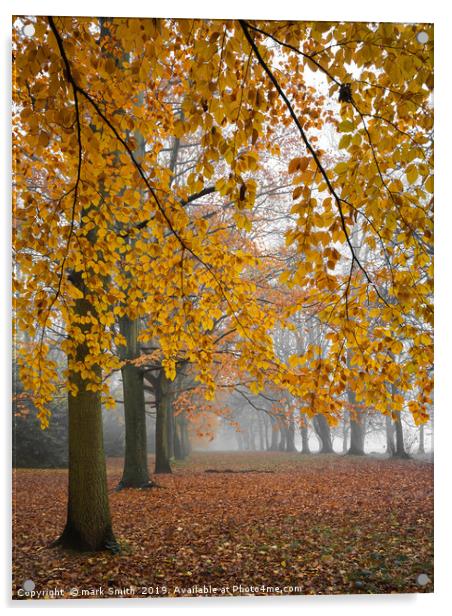 Autumn Colours In The Mist Acrylic by mark Smith