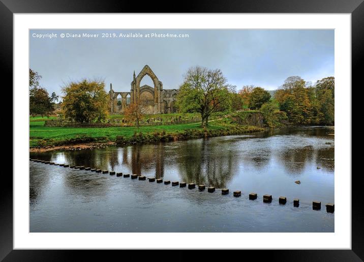 Bolton Abbey Wharfedale Framed Mounted Print by Diana Mower